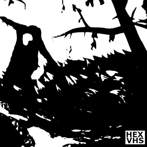 Cuts You Deep album art