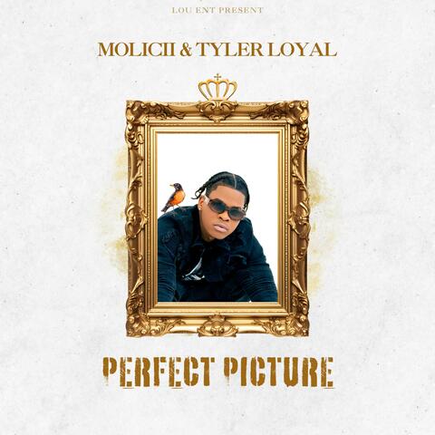 Perfect Picture (feat. Tyler Loyal) album art