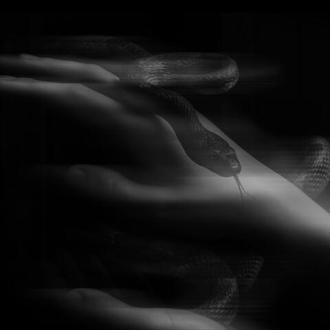 Let You Go album art