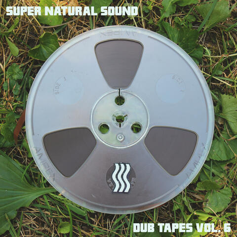 Dub Tapes, Vol. 6 album art