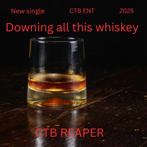 Downing all this whiskey album art