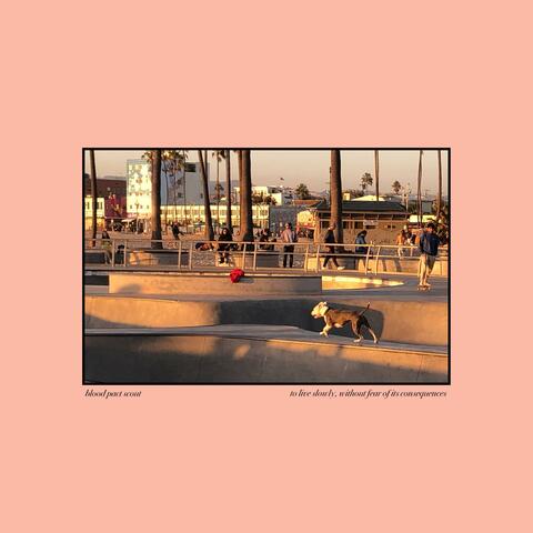 to live slowly, without fear of its consequences album art