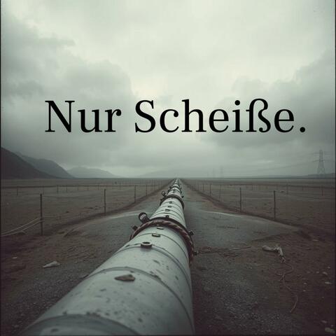 Kein Lied - Nur Scheiße album art