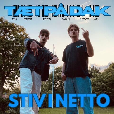STIV I NETTO album art