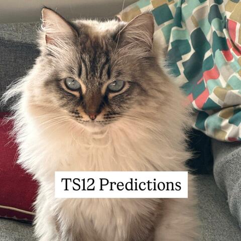 TS12 Predictions album art