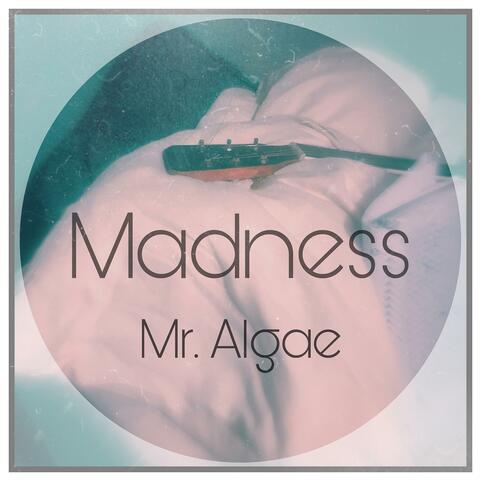 Madness album art