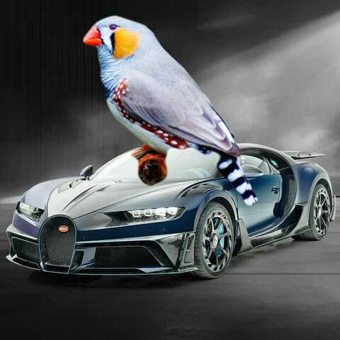 Roll with it album art