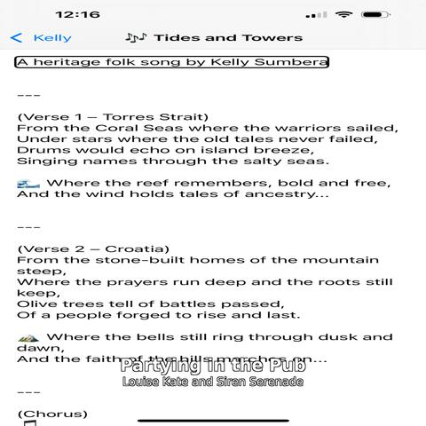 Partying in the Pub album art