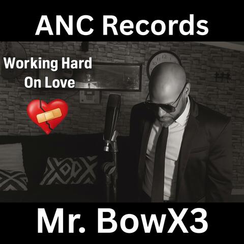 Working Hard On Love album art