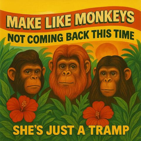Not Coming Back This Time album art
