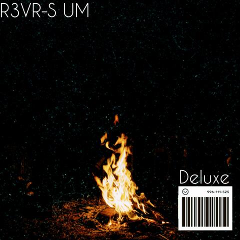 R3VR-S UM DELXUE album art