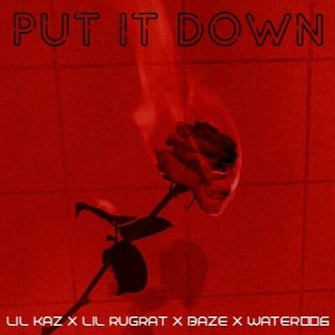 Put It Down (feat. Lil Kaz, Lil Rugrat & water006) album art