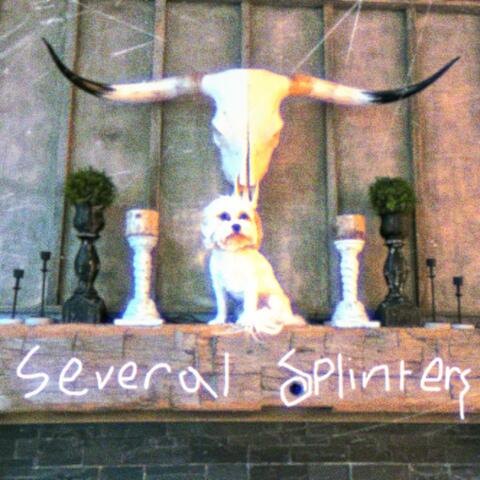 Several Splinters album art