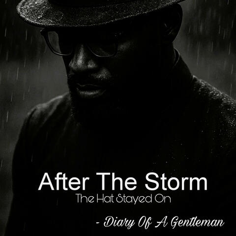 After The Storm (Diary of a Gentleman) album art