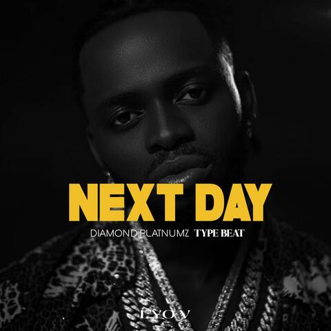NEXT DAY AFROBEATS INSTRRUMENTALS2025 album art