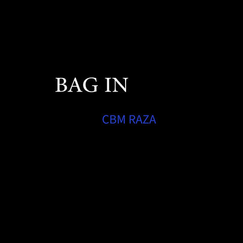 Bag In album art
