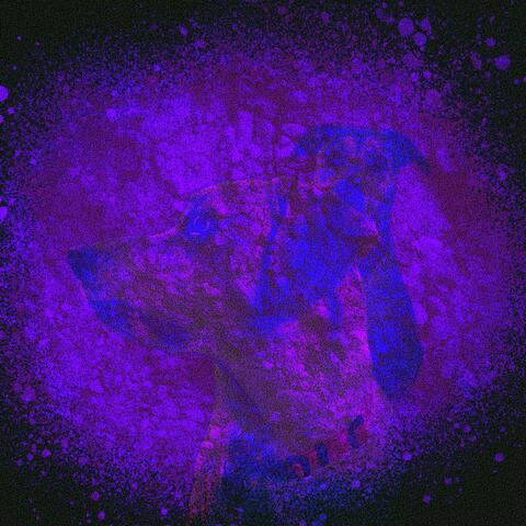 2 Chops album art