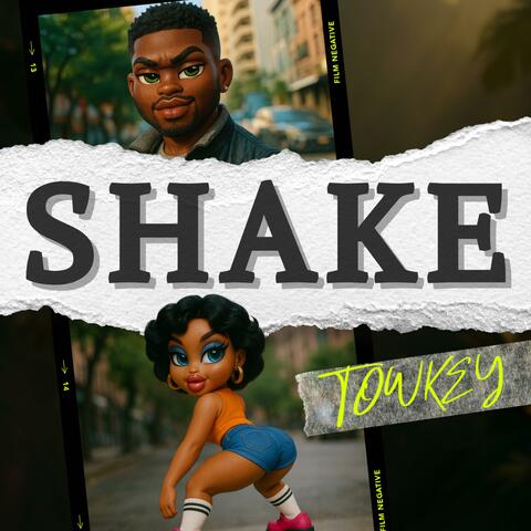 SHAKE album art