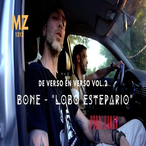 Lobo Estepario (feat. RAMAN A.K.A SKATEBEATZ) album art
