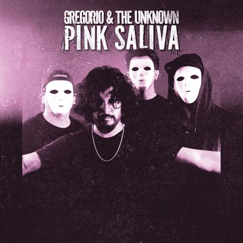 Pink Saliva album art