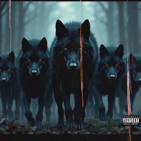 Wolfgang Freestyle album art