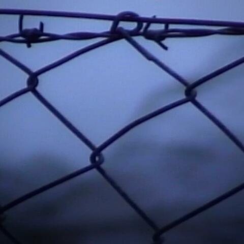 Barbed Wire album art