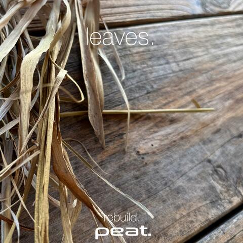 leaves. album art