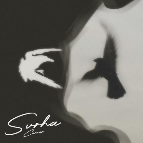 Svrha album art