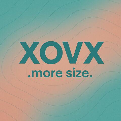 MORE SIZE album art