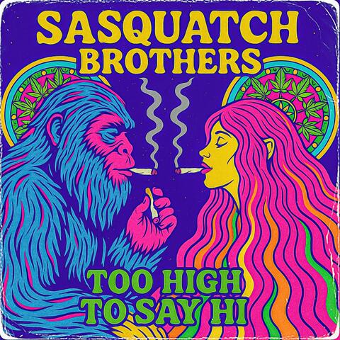 Too high to say hi album art