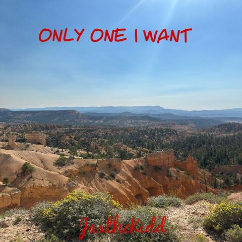 Only One I Want album art