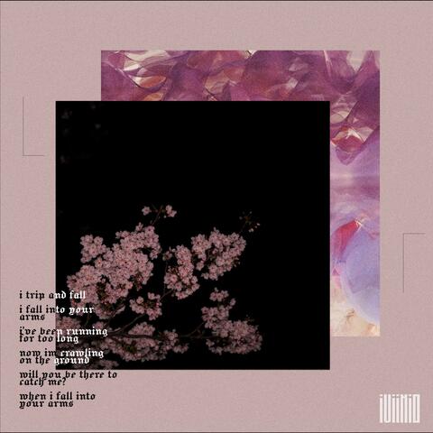 Trip & Fall (heyitswalt remix) album art