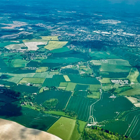 Whats the moon looking like album art