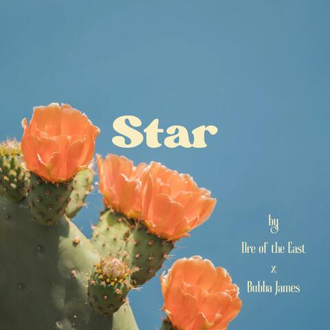 Star (feat. Bubba James) album art