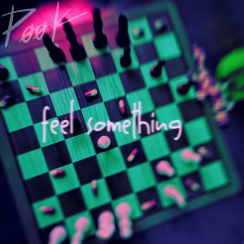 feel something album art