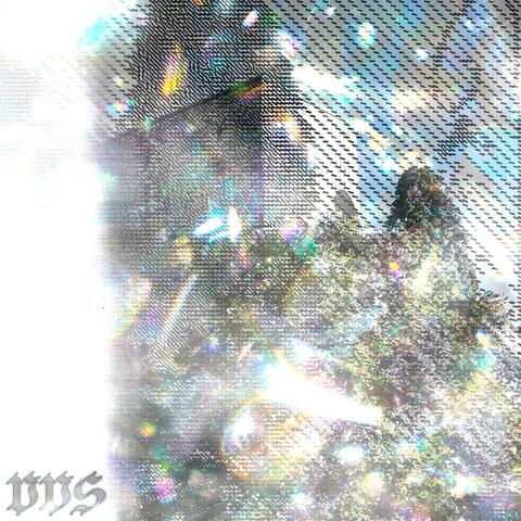 VVS album art