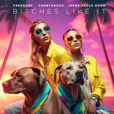 Bitches Like It album art