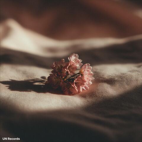 CODE:DustyRose album art