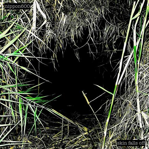 Skin Falls Off album art