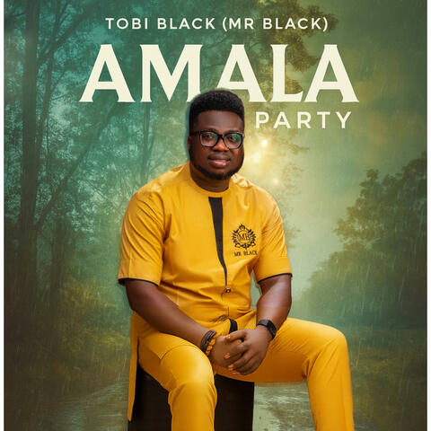 AMALA PARTY album art