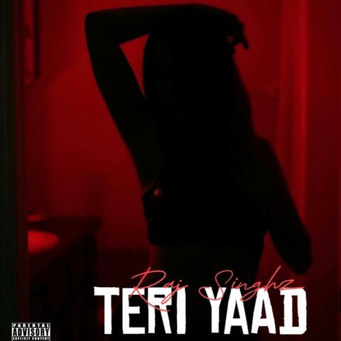 Teri Yaad album art