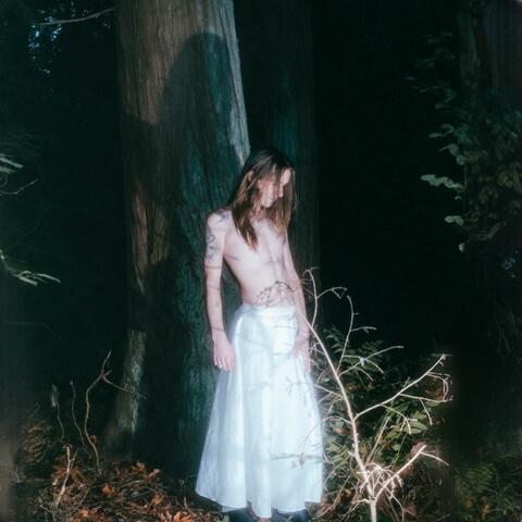 The Harm & The Benefit album art