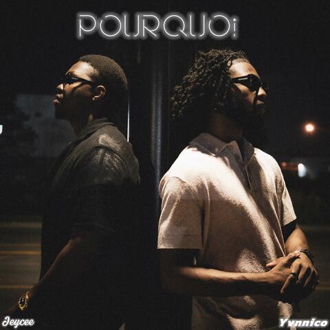 POURQUOI album art