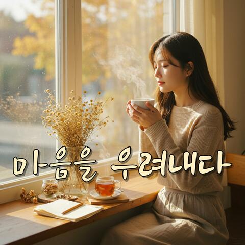 마음을 우려내다 album art