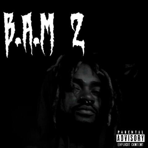 B.A.M 2 album art