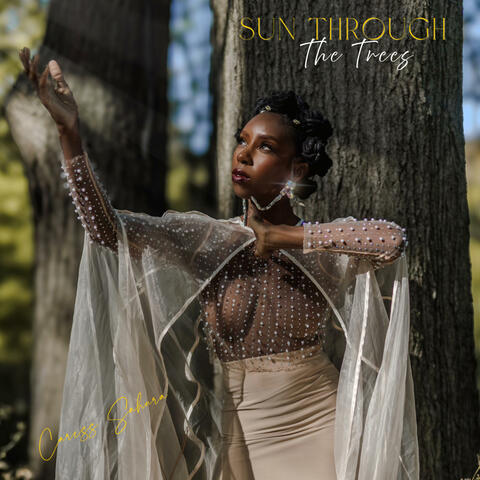 Sun Through The Trees album art