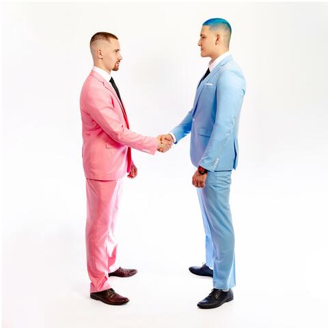 Styl zawodowy album art