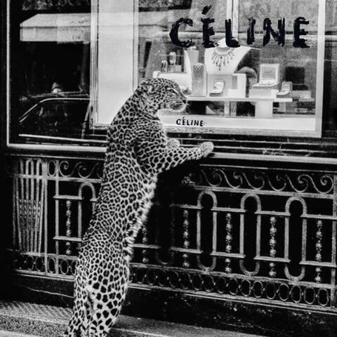 Celine Cheetah (feat. Dotstarr) album art