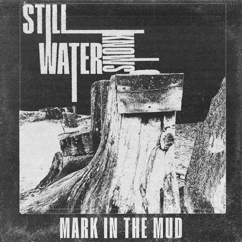 Still Water Knows album art
