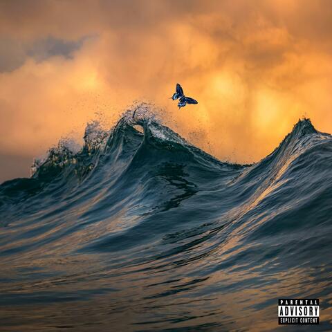 Today I felt happy album art
